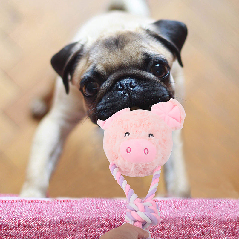 Durable Toys
