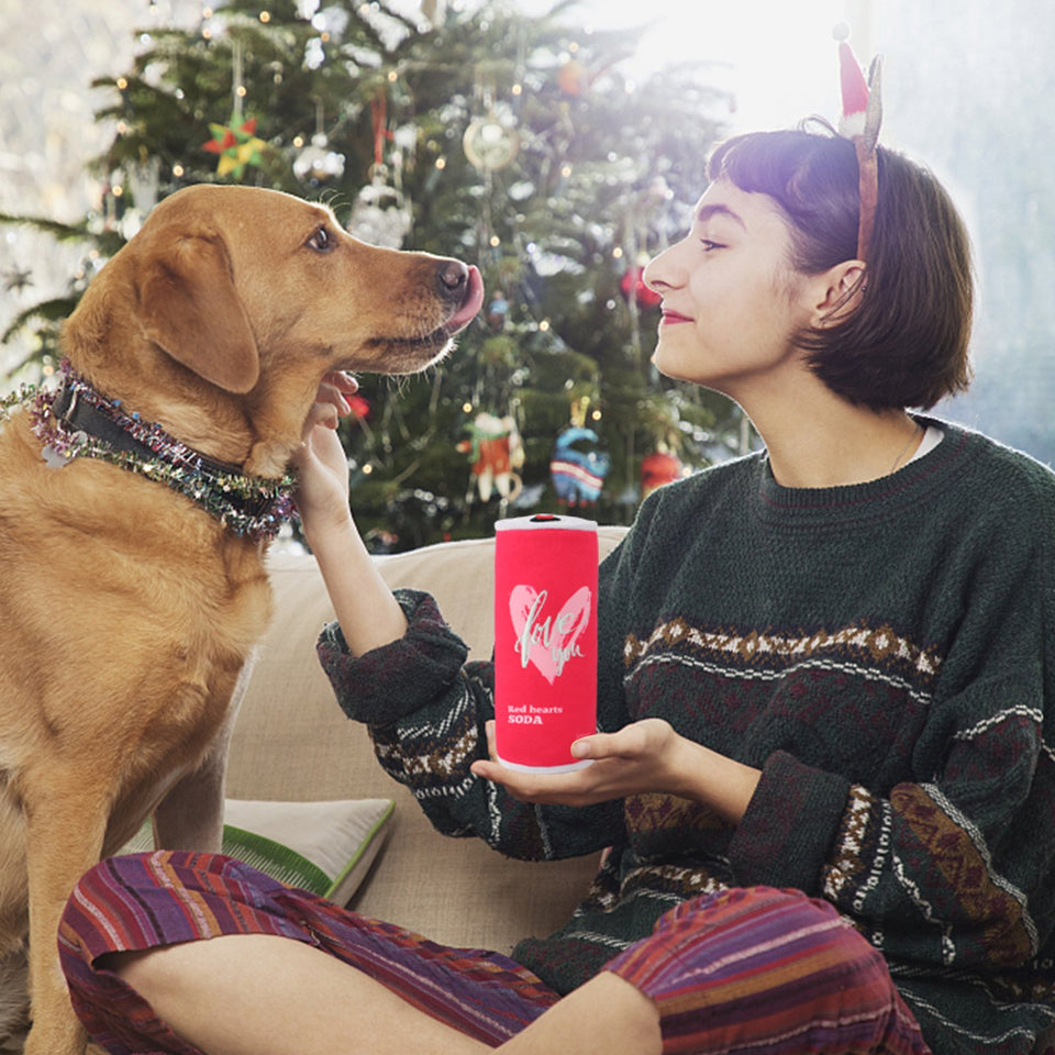 D KING Squeaky Pop Cans Dog Toy