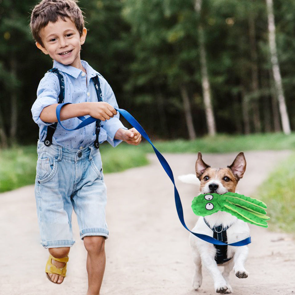 D KING Octopus Squeaky Dog Toy