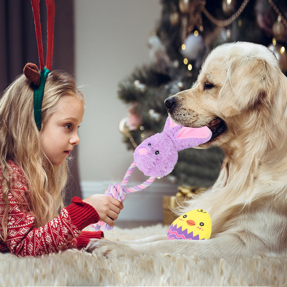 DKING Plush Dog Rope Toys,Cute Easter Puppy Toy