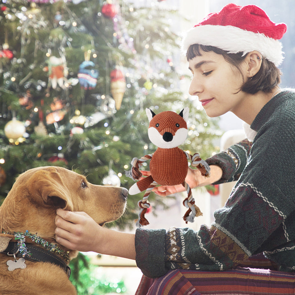 D KING Rope Plush Dog Toy