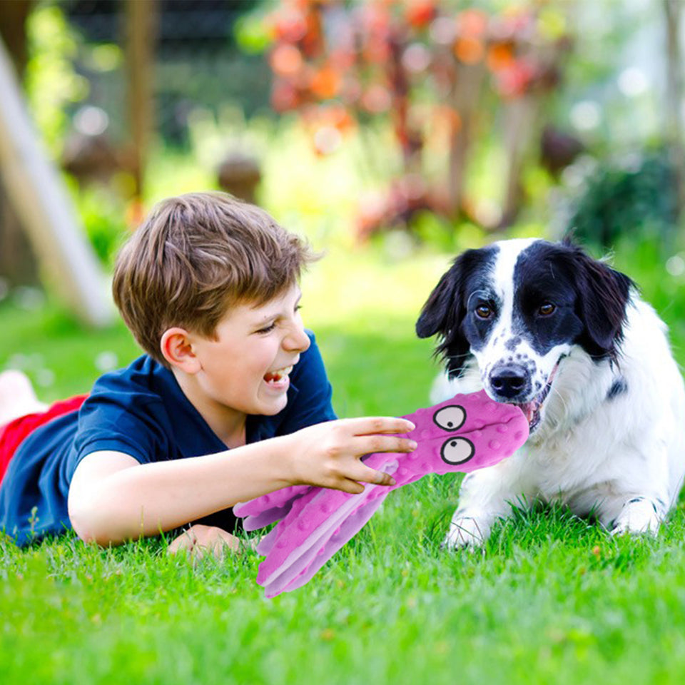 D KING Octopus Squeaky Dog Toy