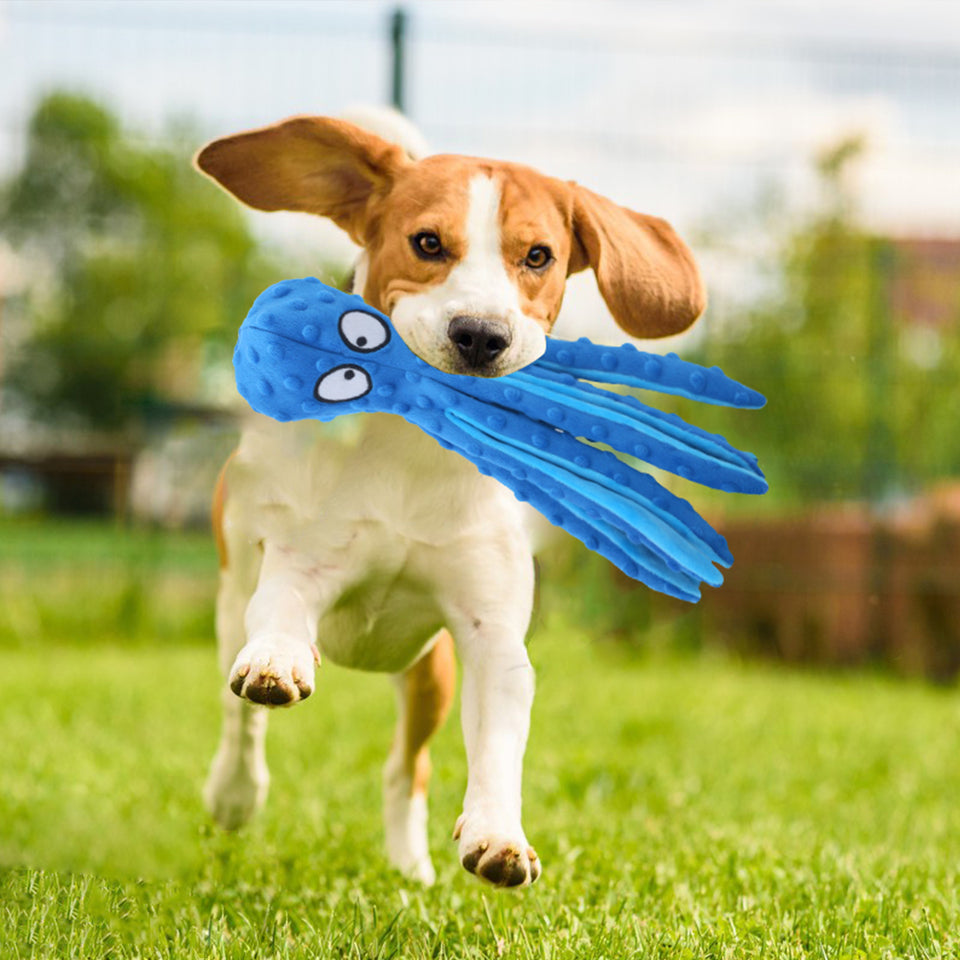 D KING Octopus Squeaky Dog Toy