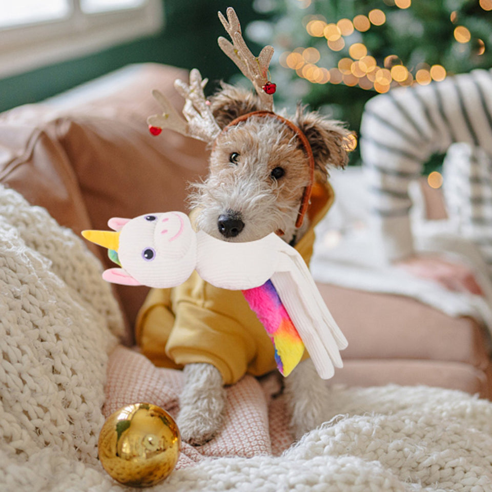 D KING Octopus Claw Squeaky Dog Toy