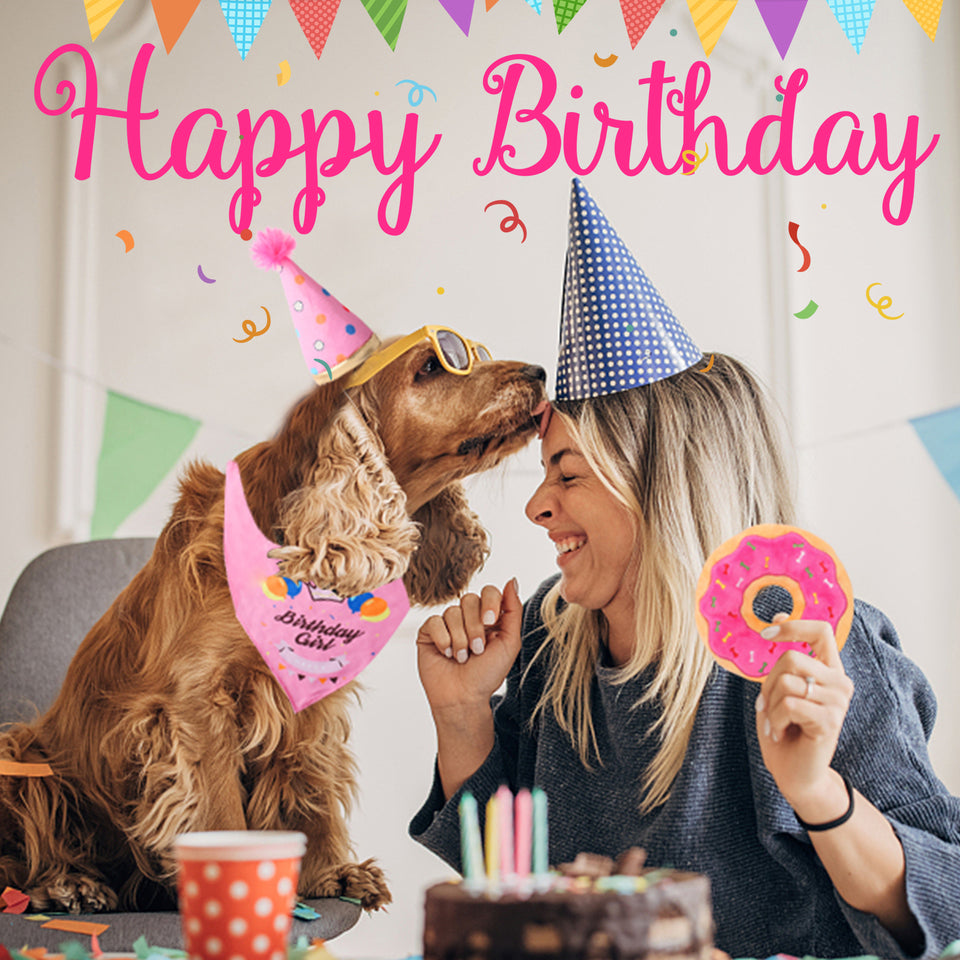 D KING Dog Birthday Party Supplies,Dog First Birthday Bandana