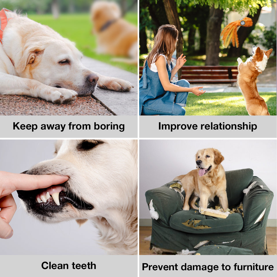 D KING Octopus Squeaky Dog Toy