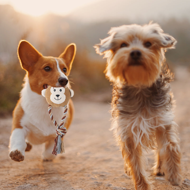 DKING Plush Dog Rope Toys