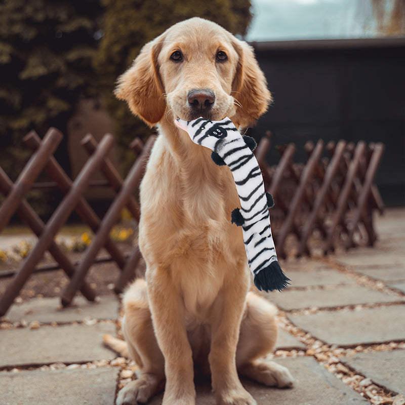 D KING Crinkle Squeaky Puppy Toys (No Stuffing)