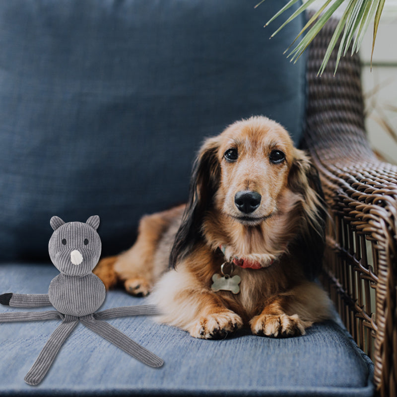 D KING Octopus Claw Squeaky Dog Toy