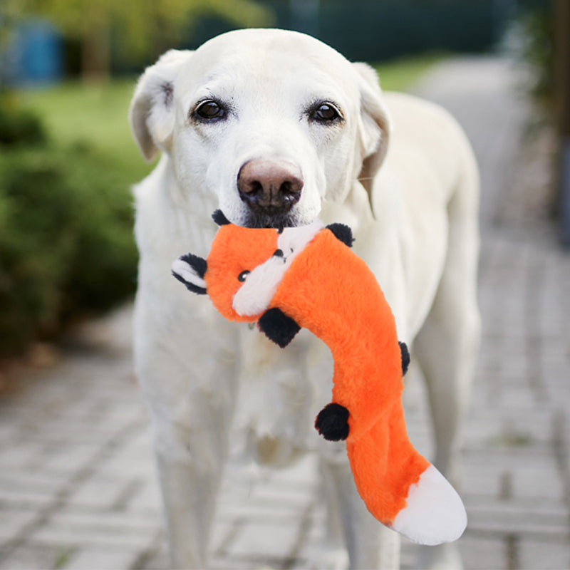 D KING Crinkle Squeaky Puppy Toys (No Stuffing)