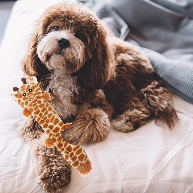 D KING Crinkle Squeaky Puppy Toys (No Stuffing)