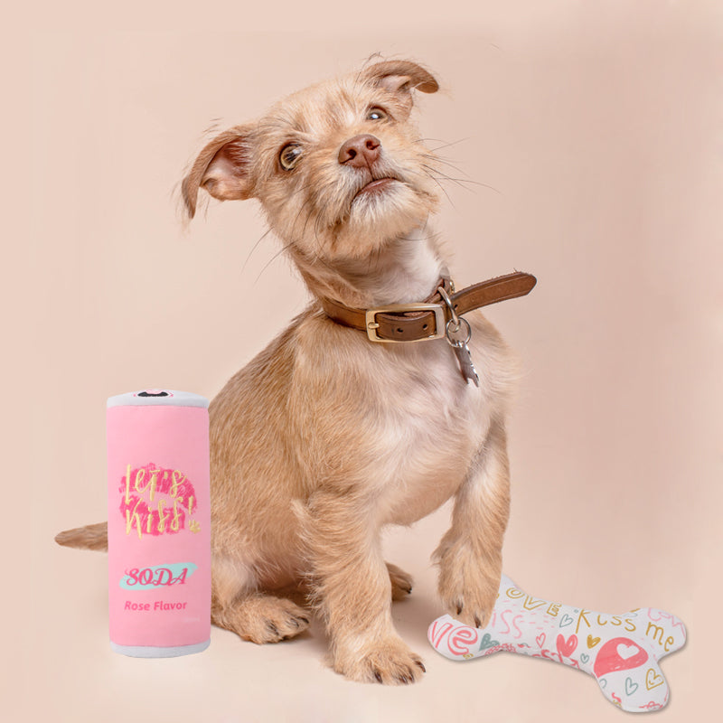D KING Squeaky Pop Cans Dog Toy