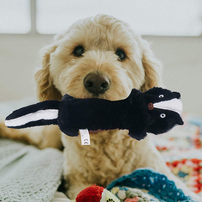 D KING Crinkle Squeaky Puppy Toys (No Stuffing)