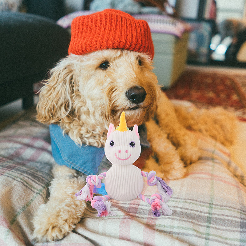 D KING Rope Plush Dog Toy