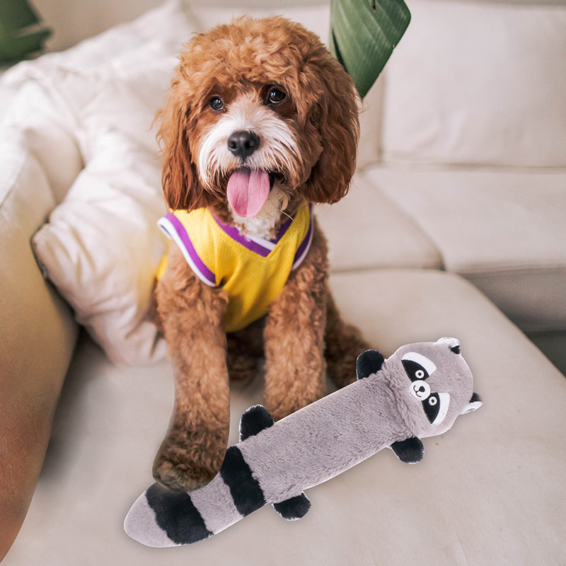 D KING Crinkle Squeaky Puppy Toys (No Stuffing)