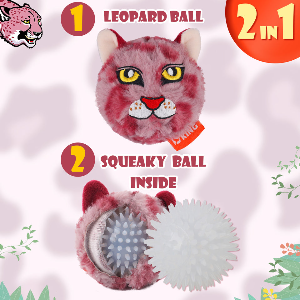 D KING 3Pack Dog Balls,2 in1 Funny Puppy Toys